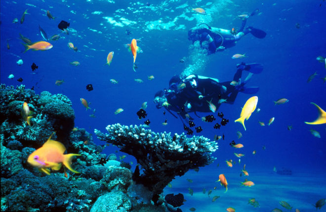 scuba-diving-in-rio-iliveglobal